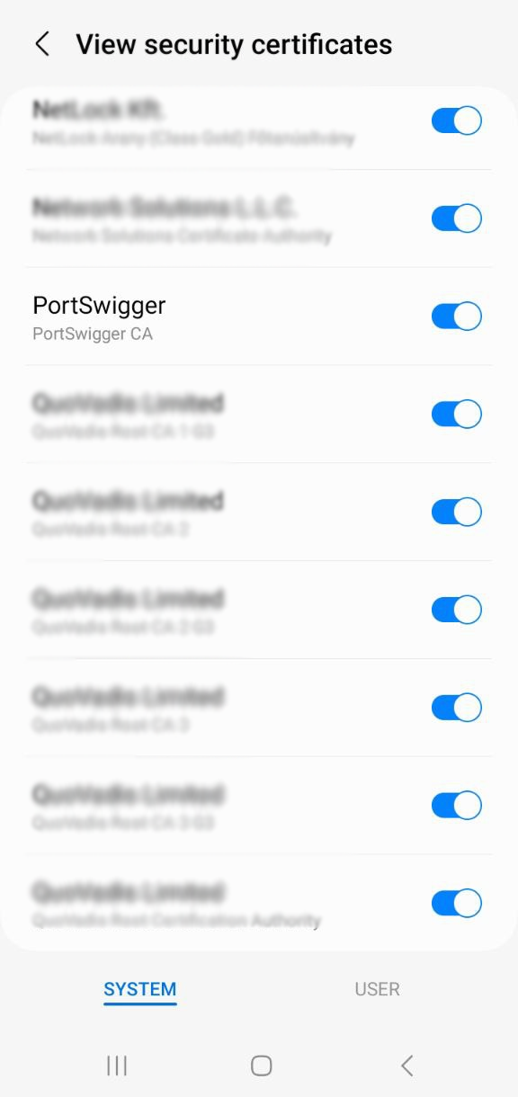 PortSwigger Lab Certificate